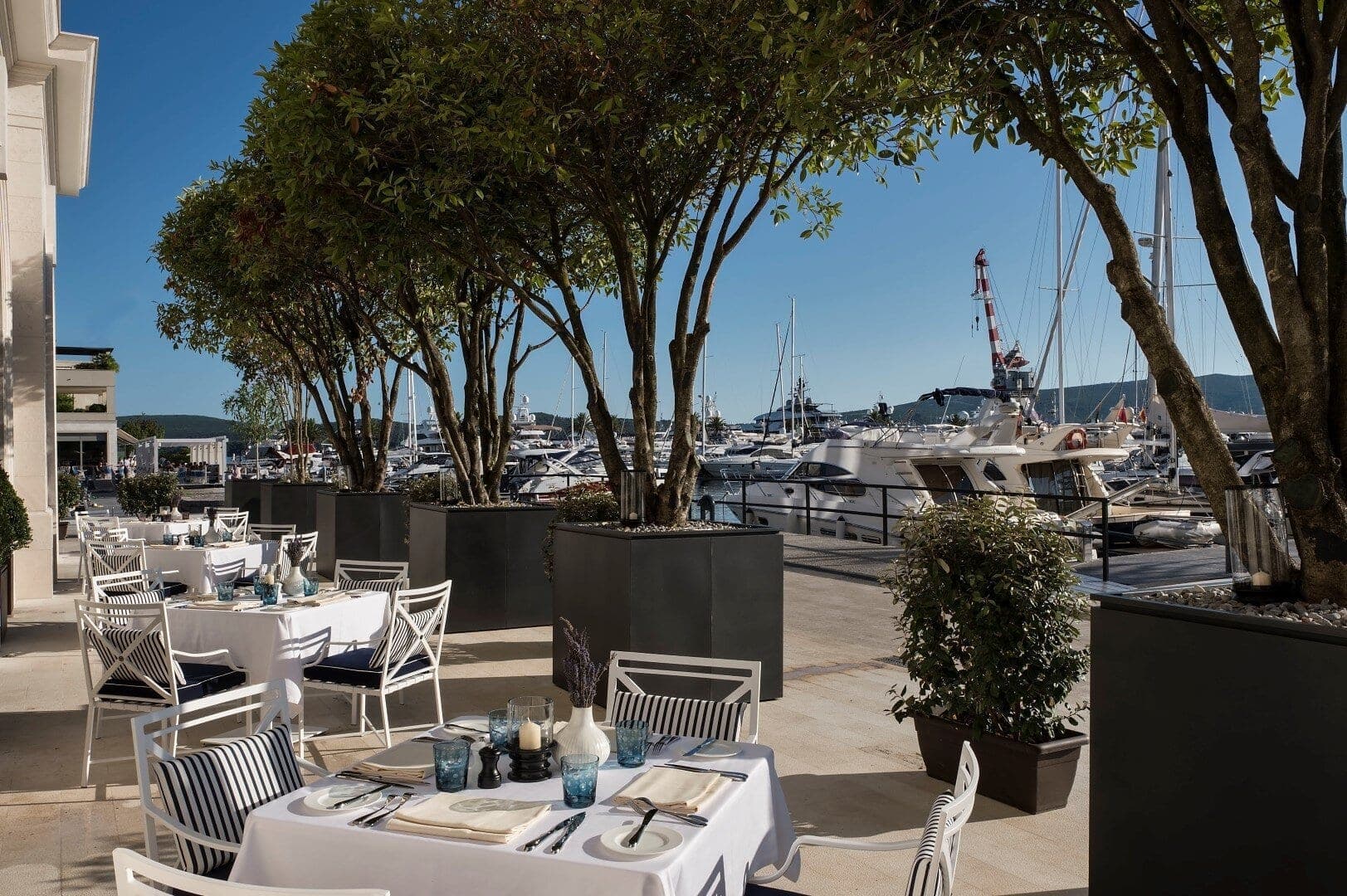 Serviced Studio Apartment Regent 5* Otel, Porto Montenegro, Tivat — 13 fotoğraftan 13.