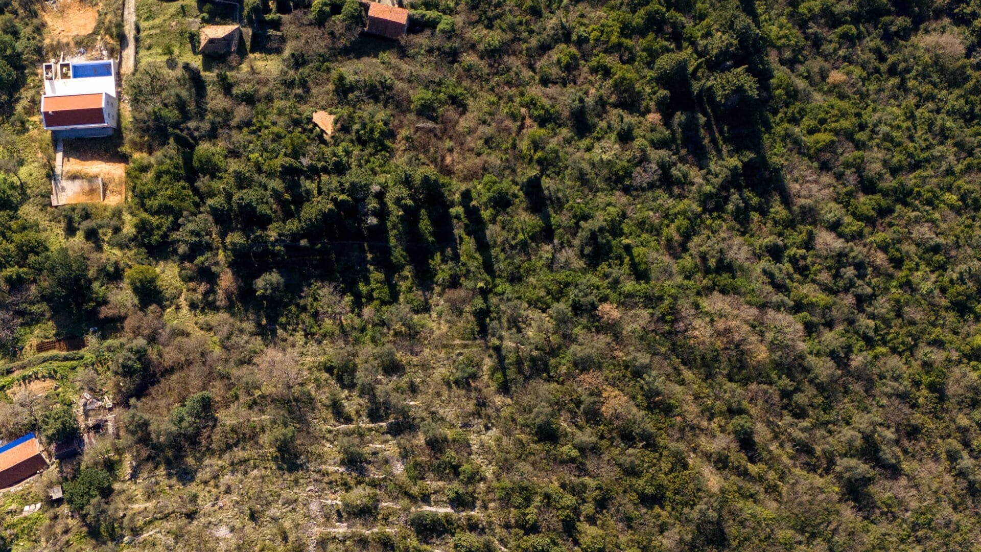 Działki 1 954 m² Donja Lastva, Czarnogóra