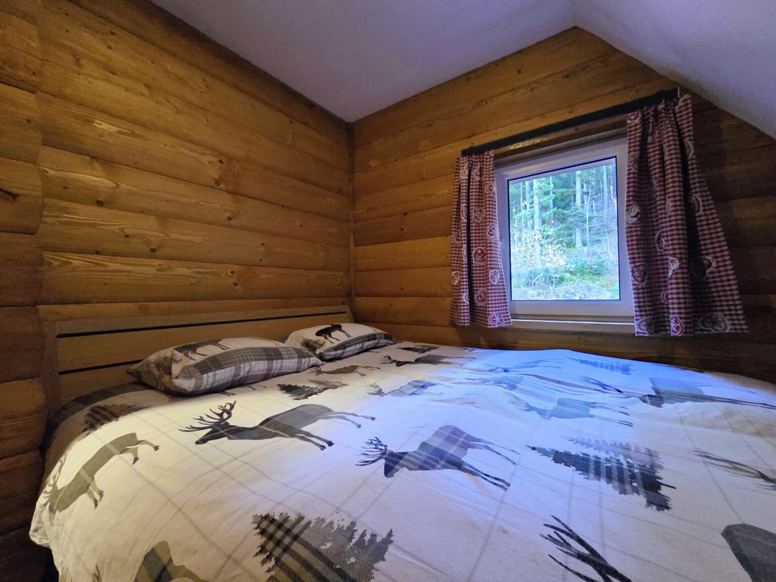 Furnished four bedroom house Zabljak