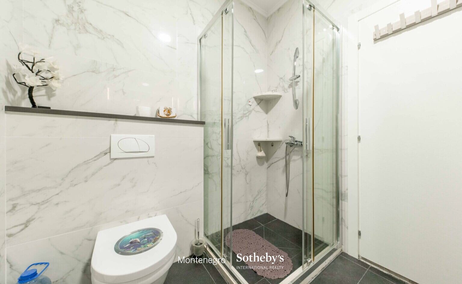 Spacious Two-bedroom Apartment Mazina